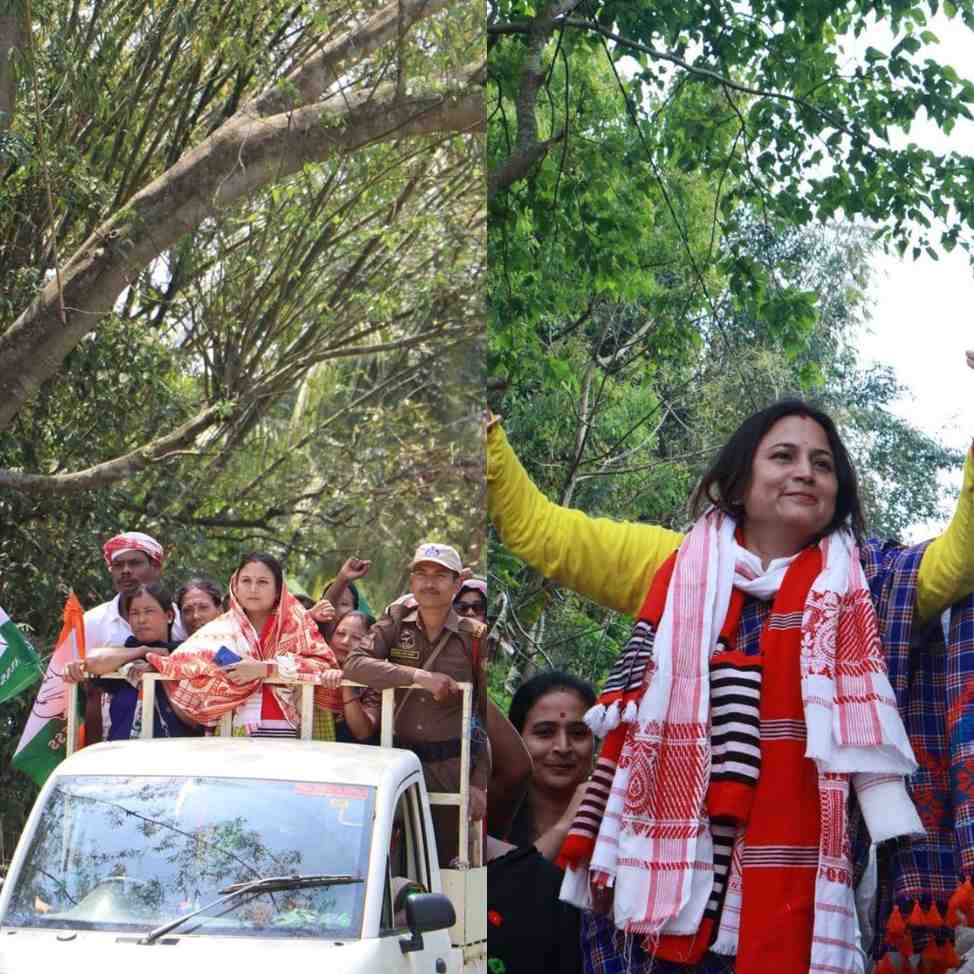 pallabi saikia gogoi congress